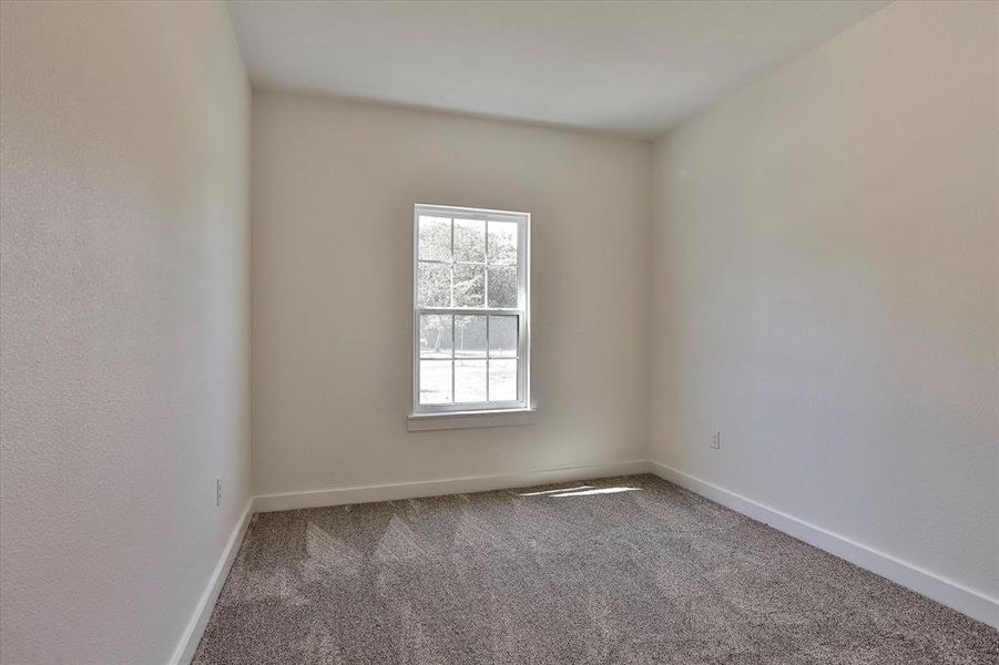 Unfurnished room with a wealth of natural light and carpet