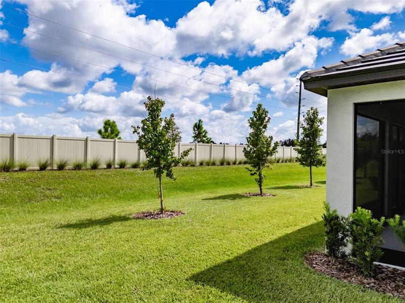 Exterior details and patio area of a home in Prosperity Lakes, Parrish (Image 36).