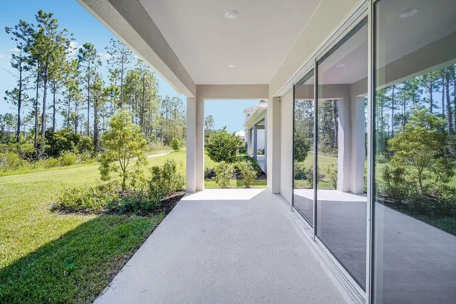Exterior details and patio area of a home in Hammock at Two Rivers, Zephyrhills (Image 3).