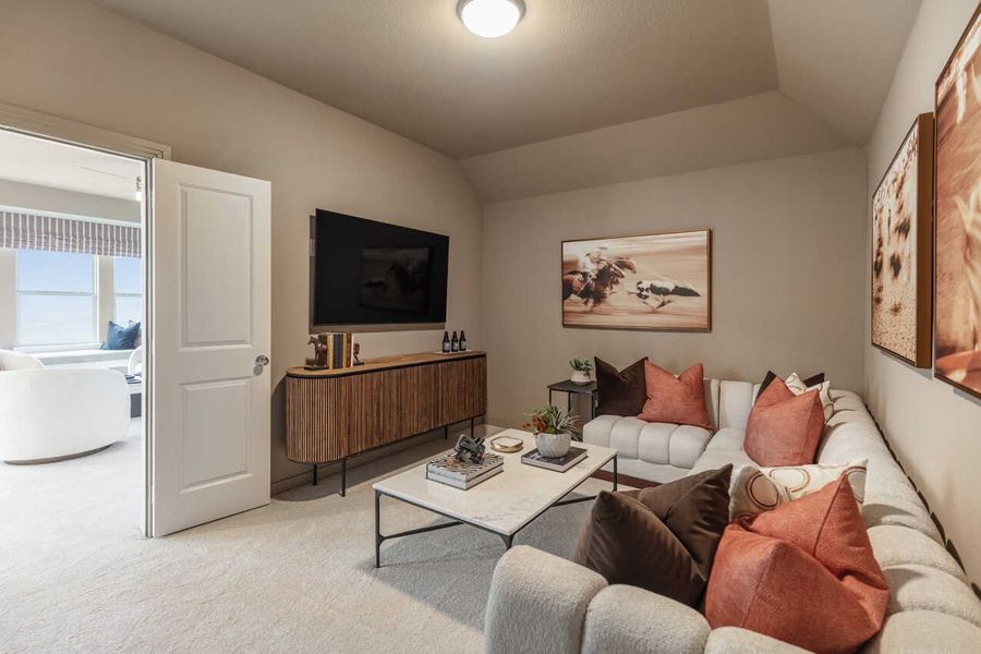Entertainment Room