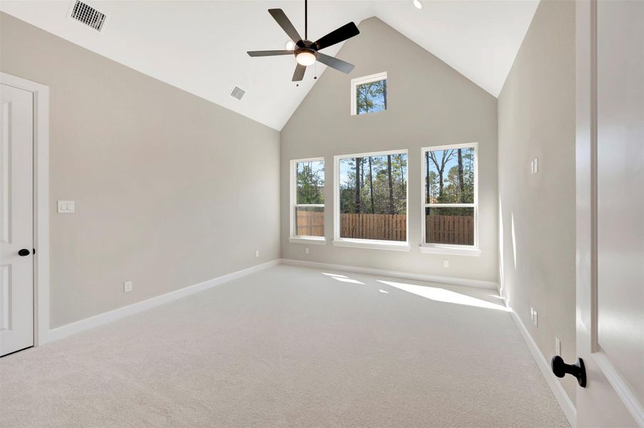 You will love this huge cathedral ceiling and big windows at the Primary suite!  Plenty of wall space for a King side bed w/nightstands!