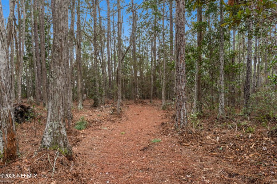 Natural landscape and outdoor views near Evergreen Island at Silverleaf - Executive in St. Augustine (Image 7).