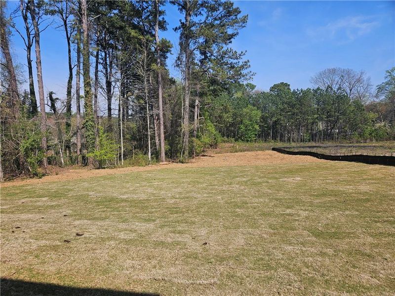 Natural landscape and outdoor views near  in Stone Mountain (Image 27).