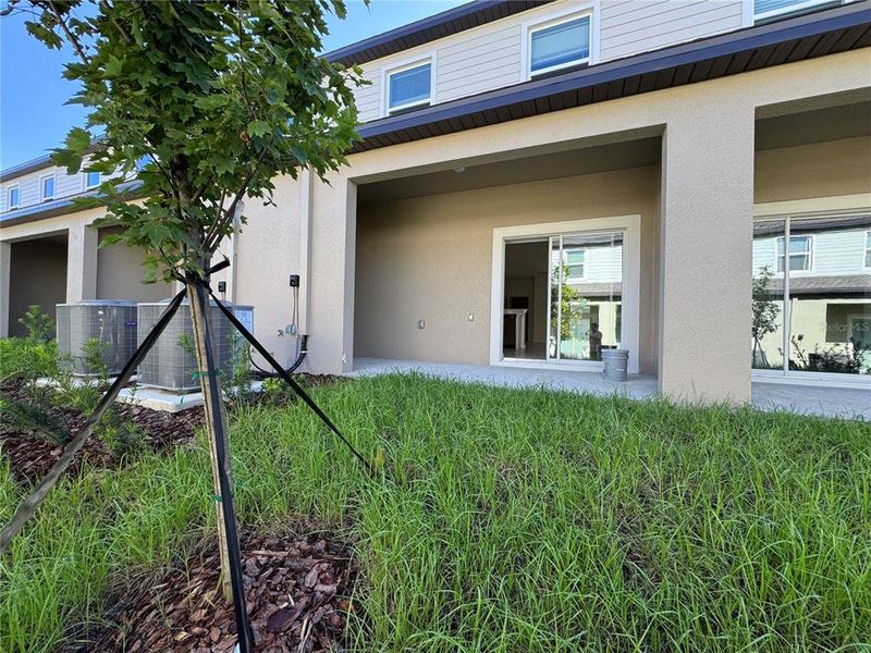 Exterior details and patio area of a home in , Wesley Chapel (Image 2).