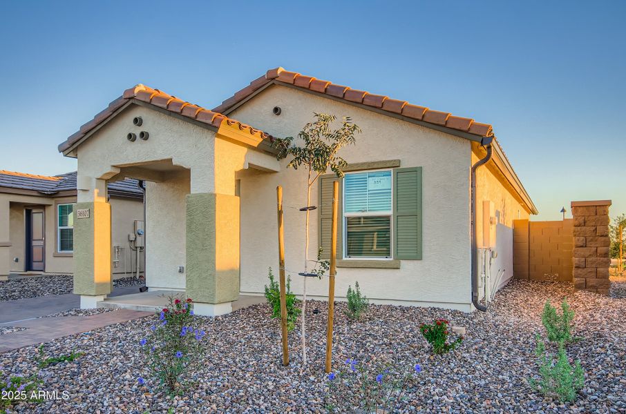 36107 W Maddaloni Ave - Print Quality -