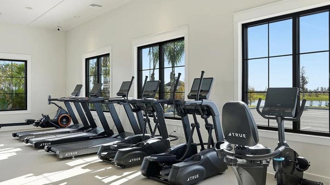Community amenities in Prosperity Lakes, Parrish (Image 60).