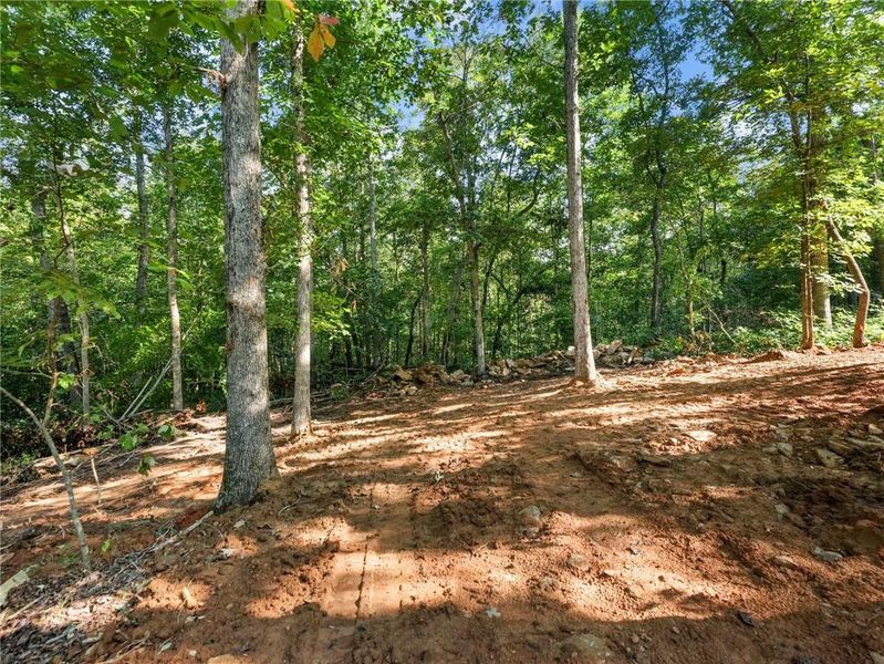 Natural landscape and outdoor views near  in Clarkesville (Image 30).