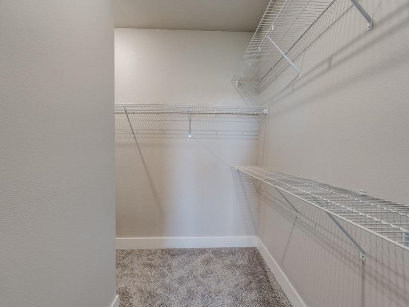 Spacious closet with carpet flooring