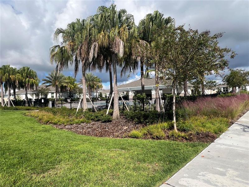 Image 30 of a home in Amelia Groves. Image 30 of a home in Amelia Groves.