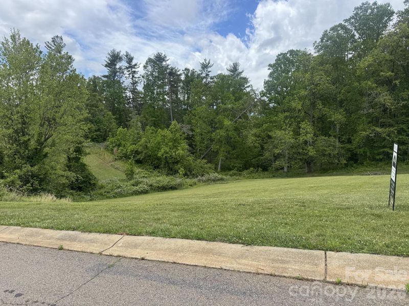 Natural landscape and outdoor views near  in Weaverville (Image 9).