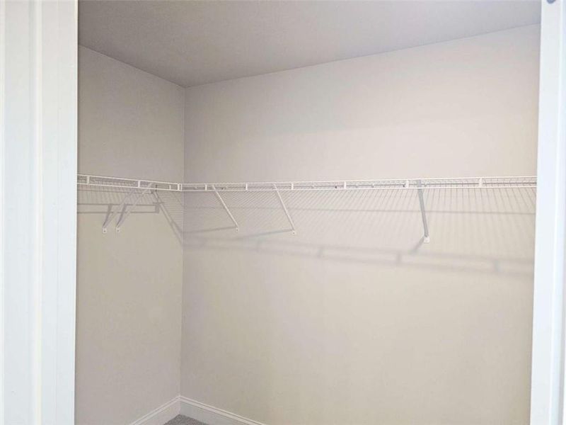 Spacious, unfurnished interior of a new home in Scarlett Place, Bowdon (Image 9).