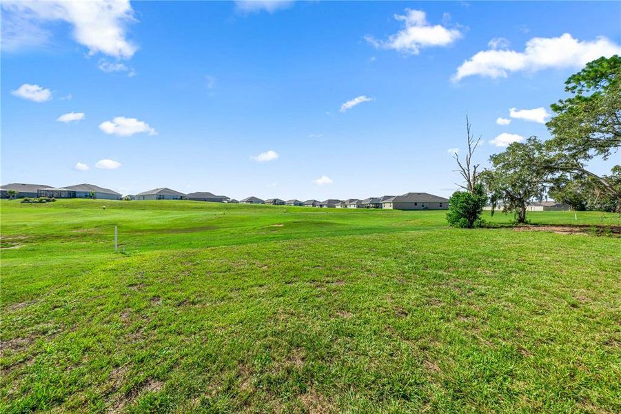 Natural landscape and outdoor views near  in Beverly Hills (Image 46).