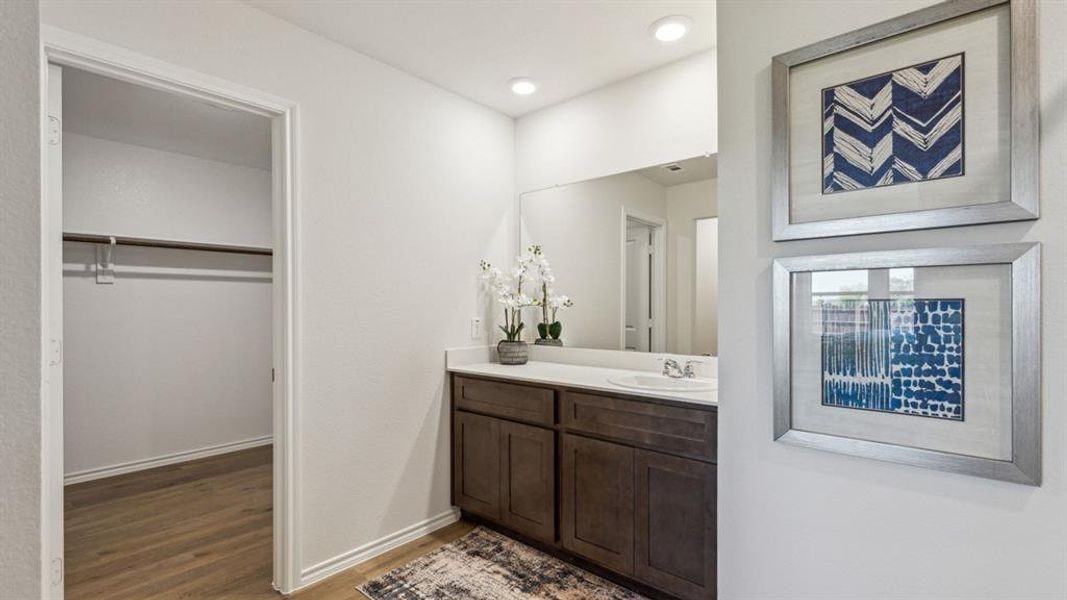 Bathroom featuring vanity, dark wood-type flooring, a walk in closet, and recessed lighting
