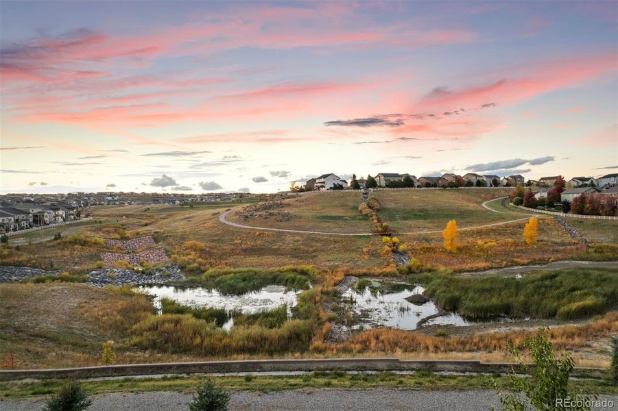 Serene panoramic views of open space and walking trails.