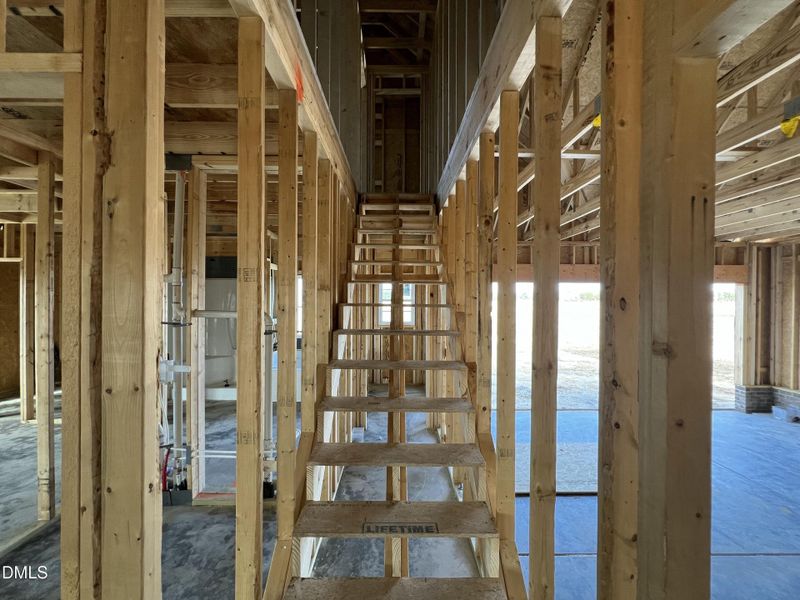 IMG_7482 2 IMG_7482 2