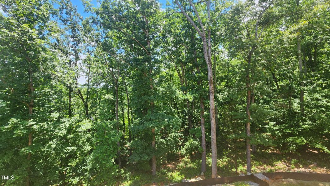 103 backyard view 103 backyard view