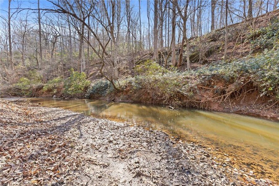 Natural landscape and outdoor views near  in Gainesville (Image 64).