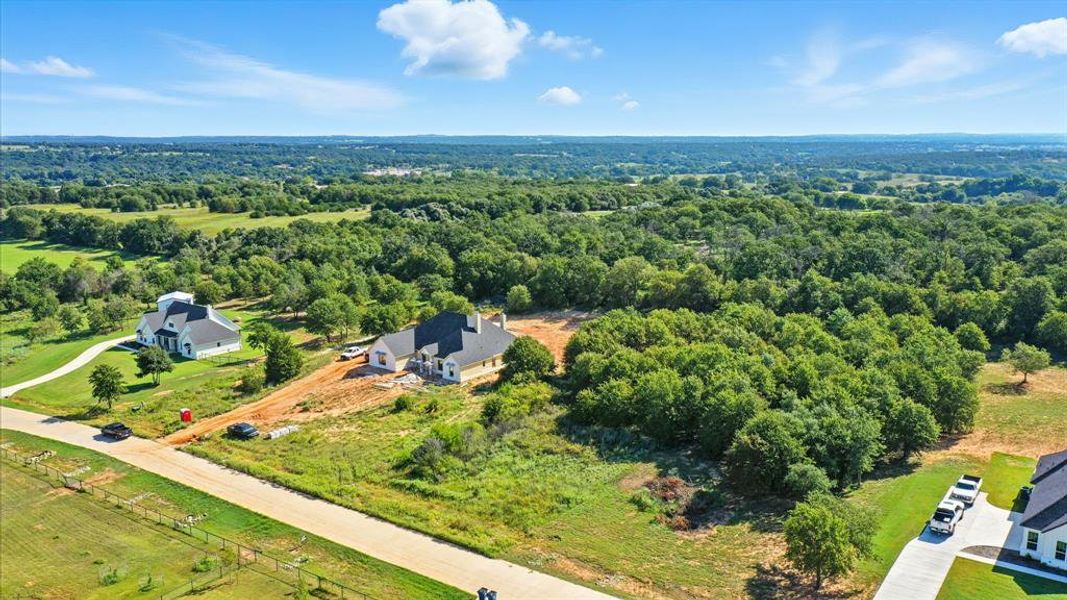 Aerial view of a forest Aerial view of a forest