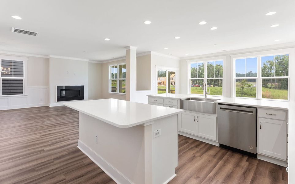 Great Room and Kitchen