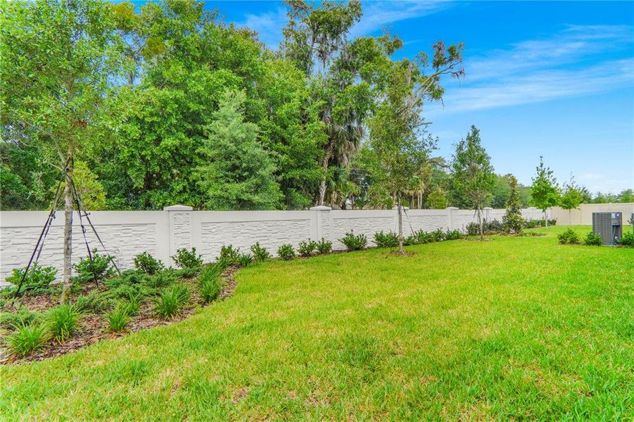 Natural landscape and outdoor views near in Winter Garden (Image 79). Natural landscape and outdoor views near in Winter Garden (Image 79).