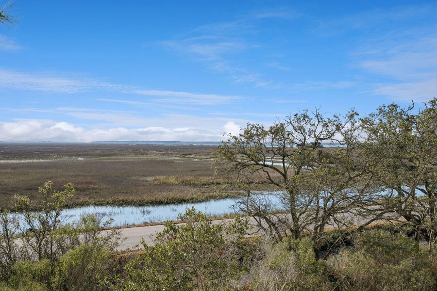 Natural landscape and outdoor views near Overlook at Copahee Sound in Awendaw (Image 76).