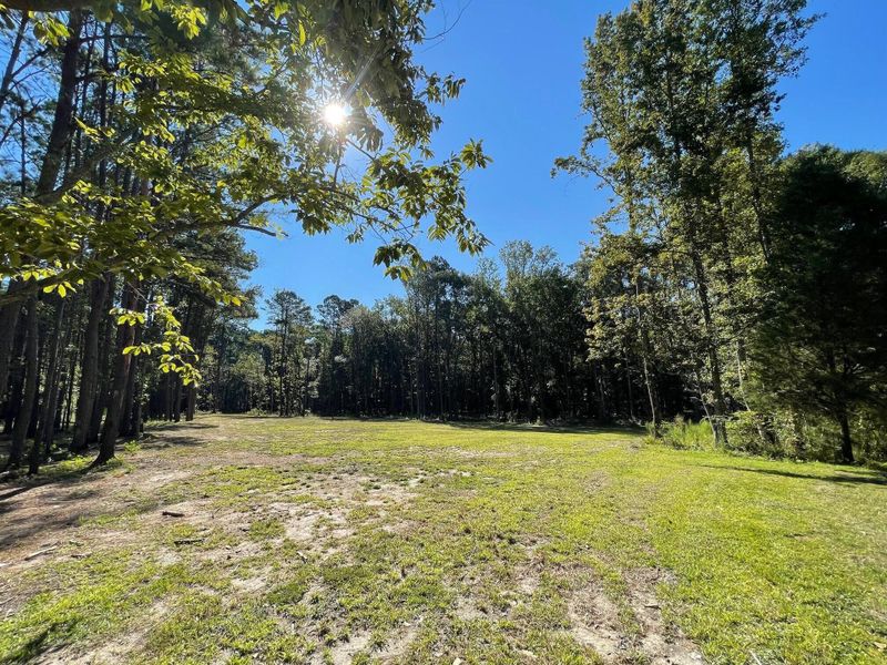 Natural landscape and outdoor views near  in Summerville (Image 15).