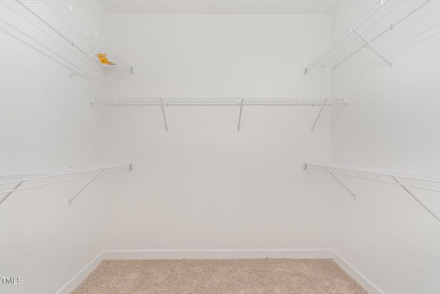 018_dsc00145-edit_55 018_dsc00145-edit_55