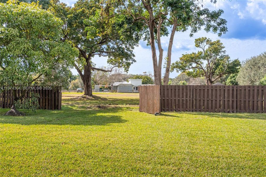 Natural landscape and outdoor views near in Southwest Ranches (Image 47). Natural landscape and outdoor views near in Southwest Ranches (Image 47).