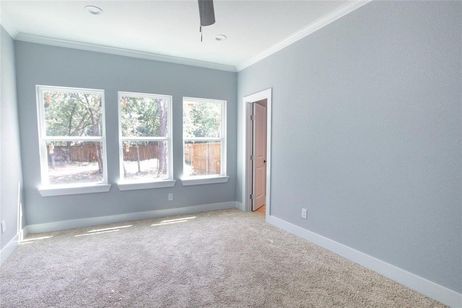 Carpeted spare room featuring crown molding and a ceiling fan