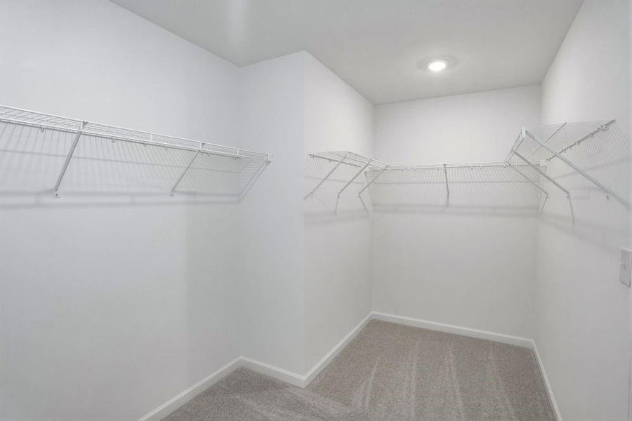 Spacious, unfurnished interior of a new home in Falls Creek, Flowery Branch (Image 29).