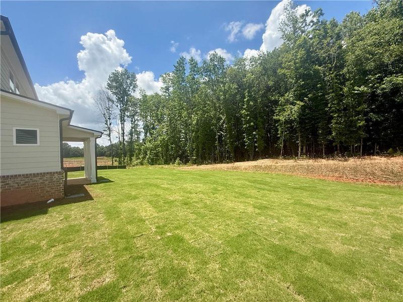 Exterior details and patio area of a home in Fowler Farms, Auburn (Image 18).