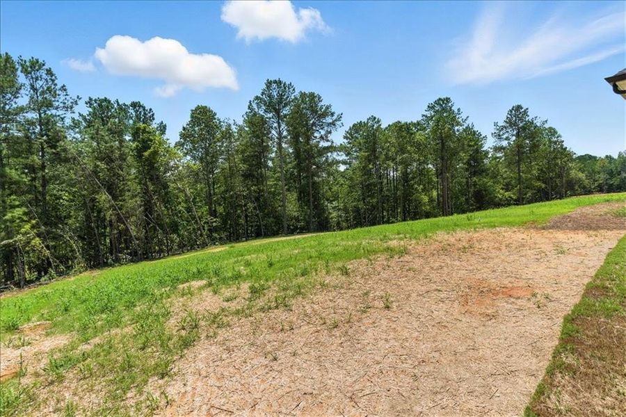 Natural landscape and outdoor views near  in Waleska (Image 44).