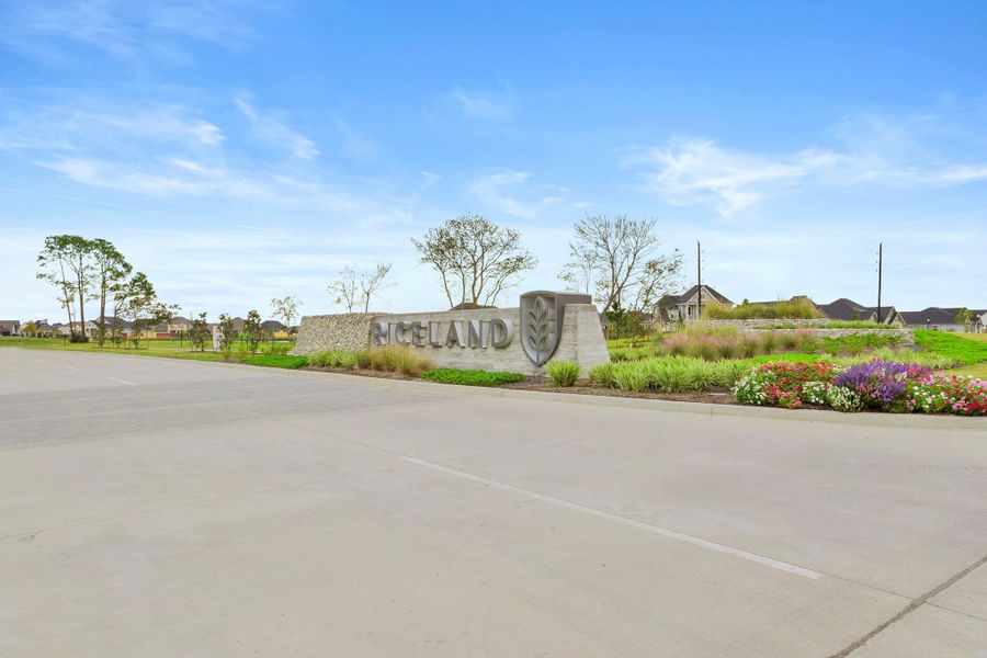 Image 42 of a home in Riceland: 42ft. lots.