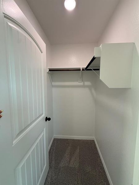 Spacious closet featuring carpet floors Spacious closet featuring carpet floors