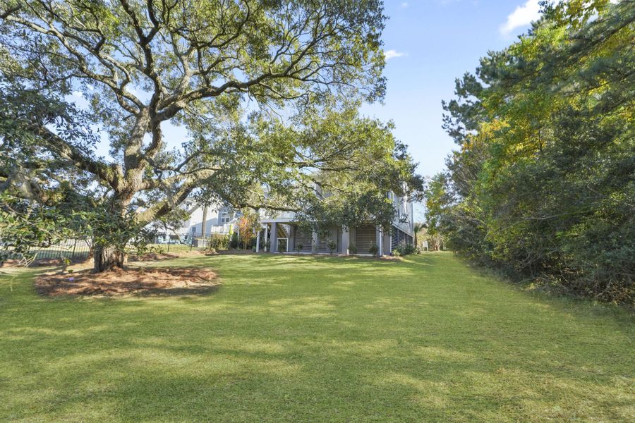 Natural landscape and outdoor views near  in Charleston (Image 58).