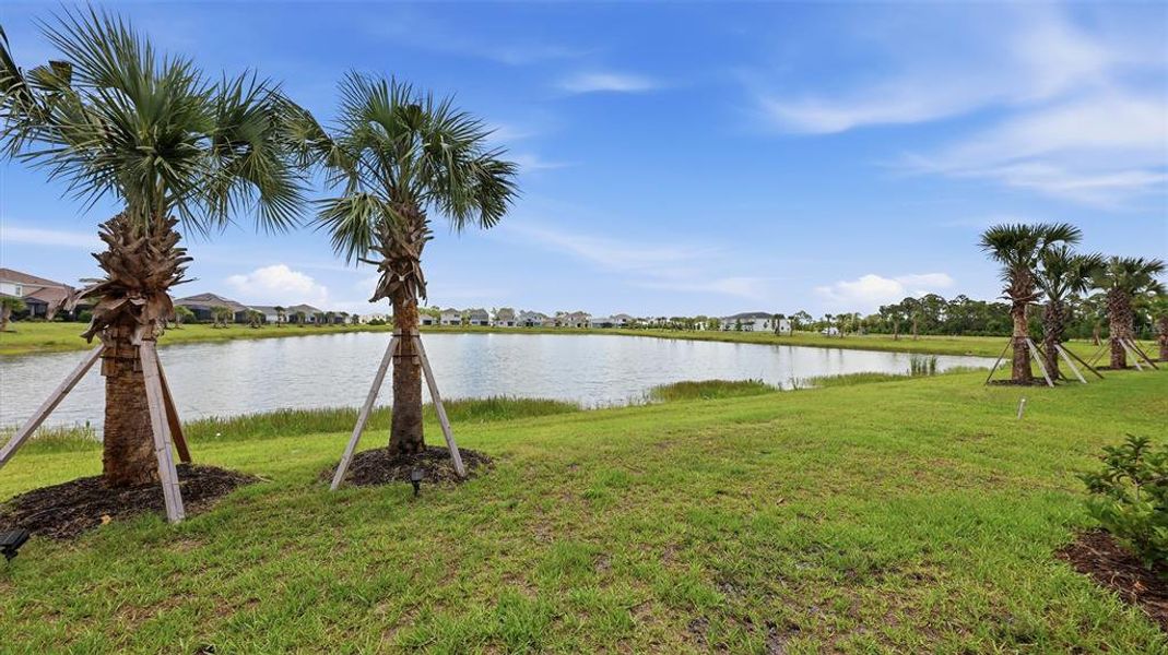 Natural landscape and outdoor views near  in Sarasota (Image 72).