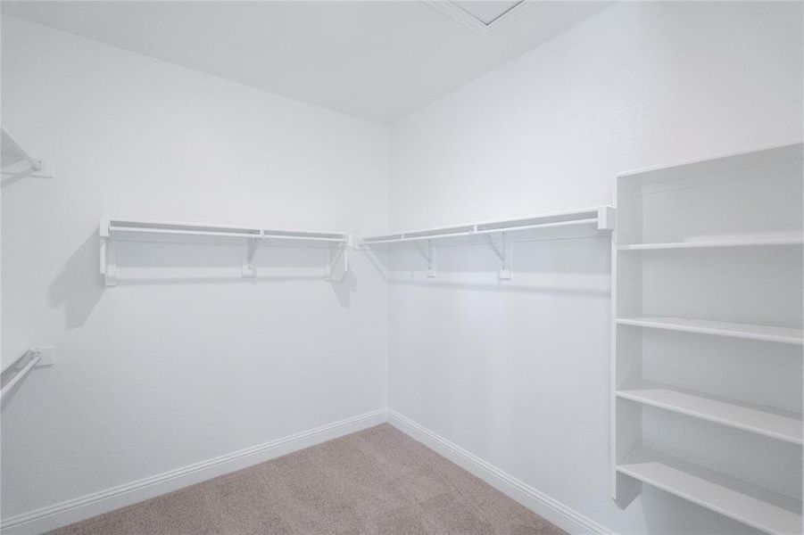 Primary Closet