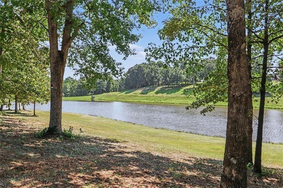 Natural landscape and outdoor views near  in Carrollton (Image 20).