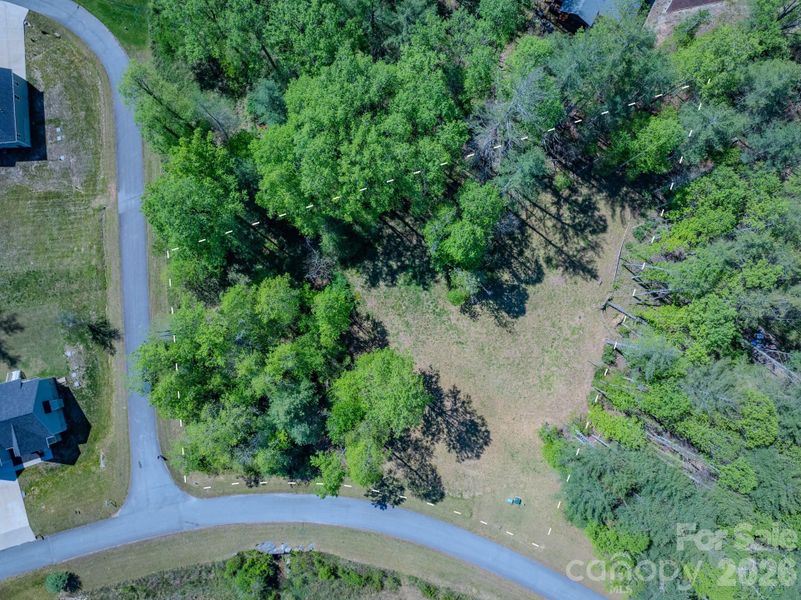 Natural landscape and outdoor views near  in Hendersonville (Image 8).