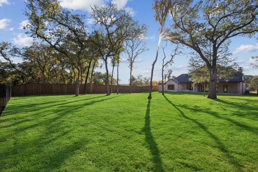 Natural landscape and outdoor views near  in Keller (Image 35).
