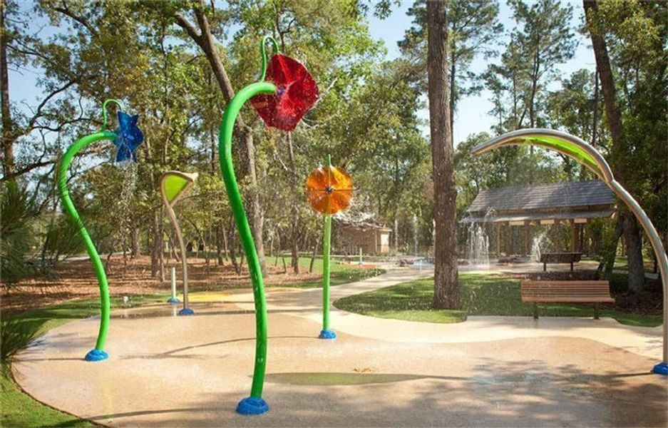 Community amenities in Dellrose, Hockley (Image 20).