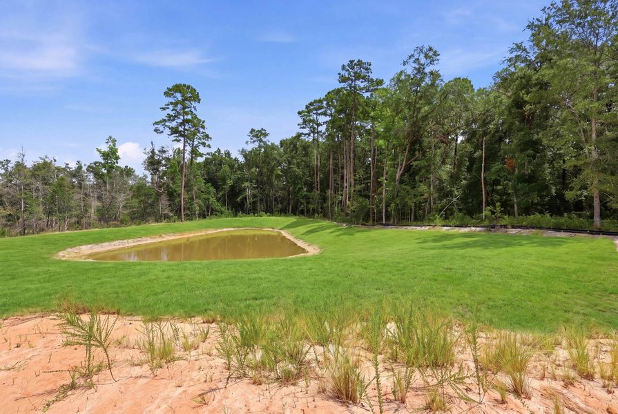 Natural landscape and outdoor views near Oak Grove in Conway (Image 28).