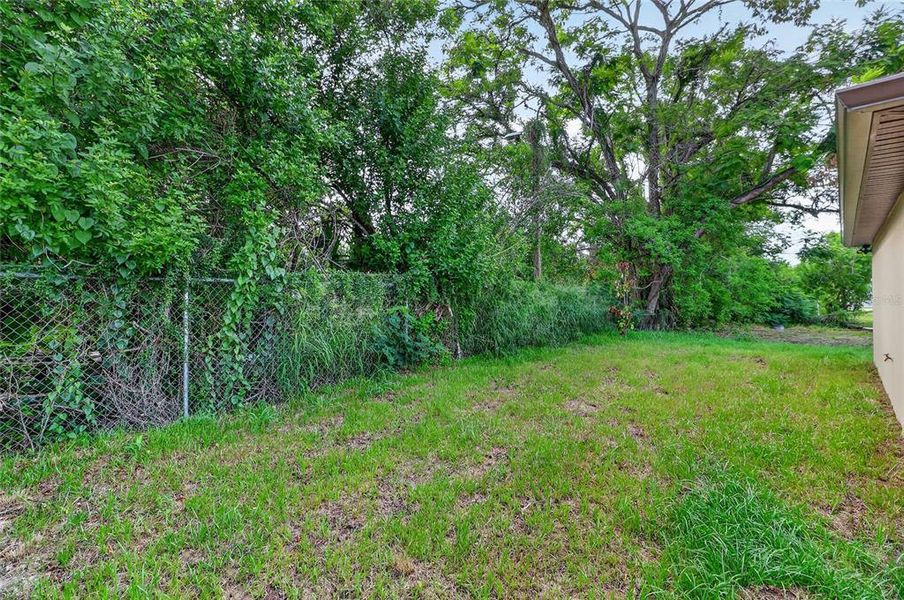 Natural landscape and outdoor views near  in Auburndale (Image 30).