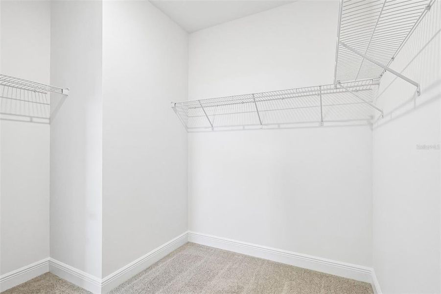 Spacious, unfurnished interior of a new home in Cyrene at Minneola, Minneola (Image 32).