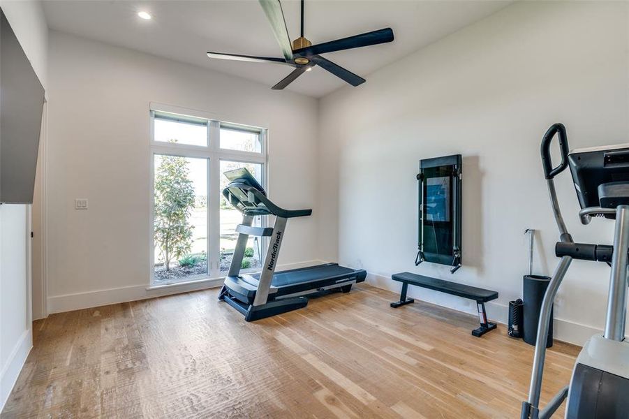 Workout area with a wealth of natural light, ceiling fan, and light hardwood / wood-style floors