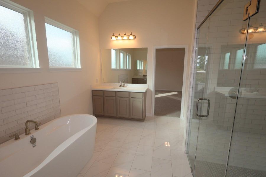 Primary bath - still under construction!