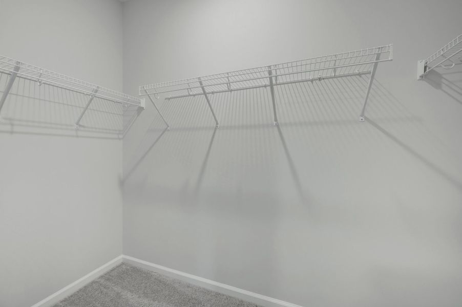 Owner's Closet