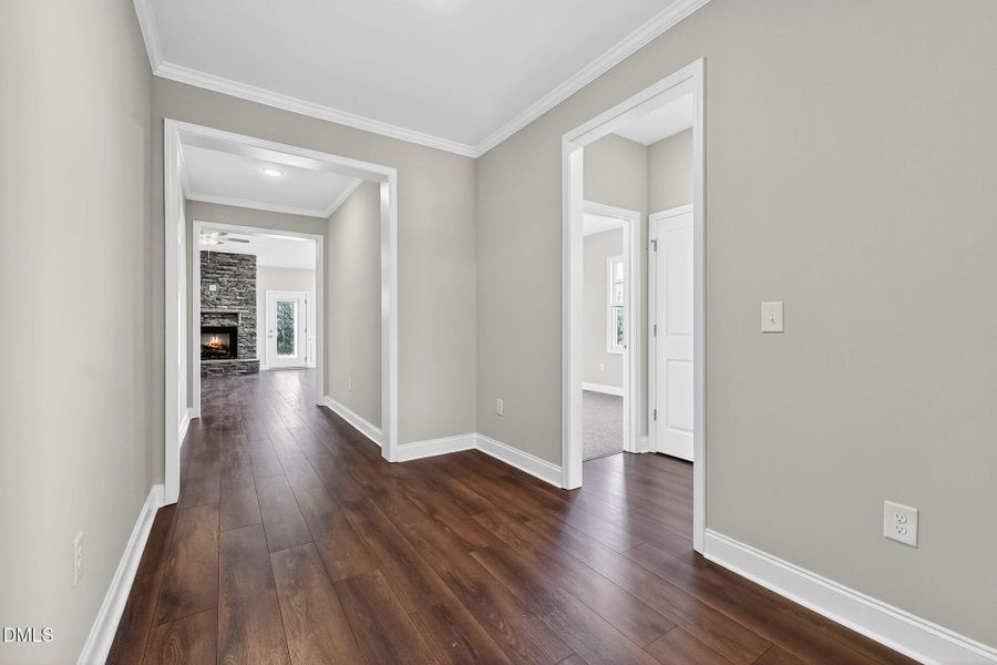 6-web-or-mls-DSC00001