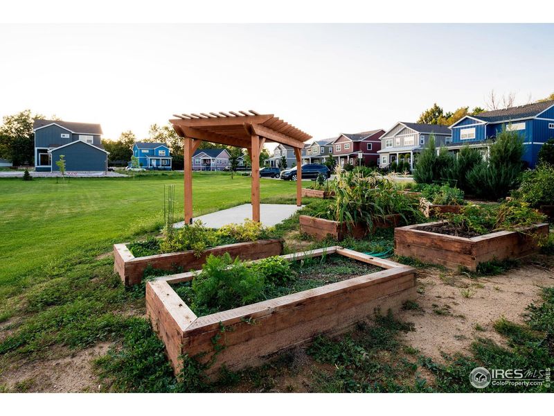 Community amenities in Taft Gardens, Loveland (Image 35).