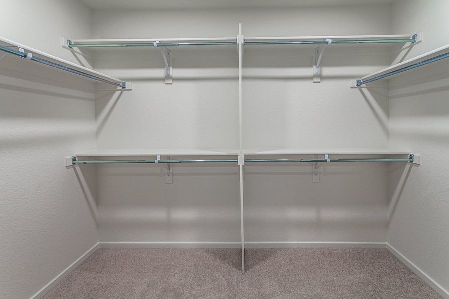 Spacious, unfurnished interior of a new home in Bloom, Fort Collins (Image 26).